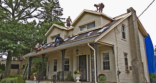 Best Storm Damage Roof Repair  in Obetz, OH