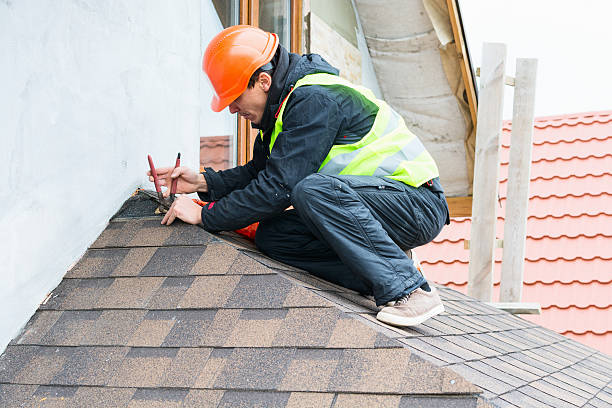 Best Roof Gutter Cleaning  in Obetz, OH